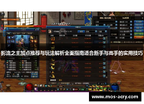 影流之主加点推荐与玩法解析全面指南适合新手与高手的实用技巧